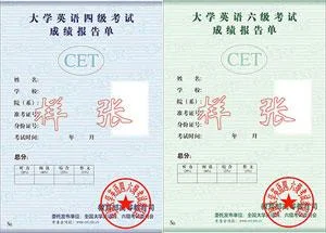 四级证书查询入口官网_2