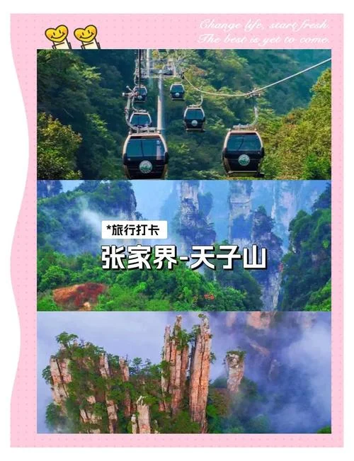 长沙张家界四日游_1