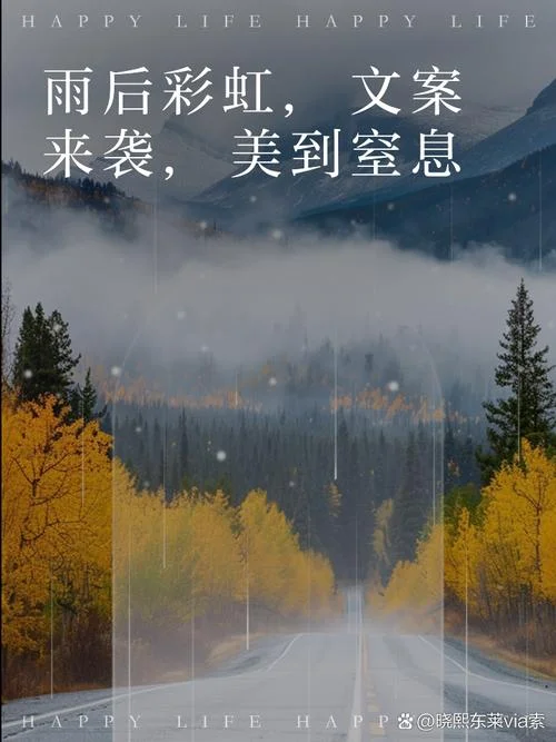 风雨后的彩虹文案_1