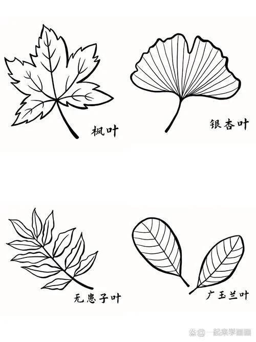 秋天的植物变化简笔画_1