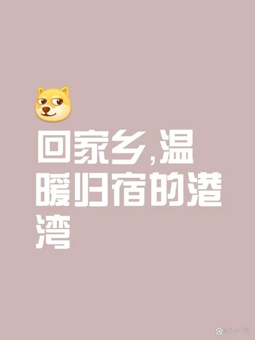 人在他乡为异客感悟_2