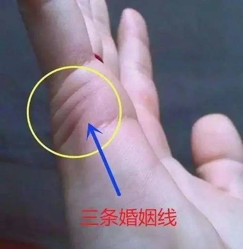 手相婚姻线有分叉-手相婚姻线有分叉