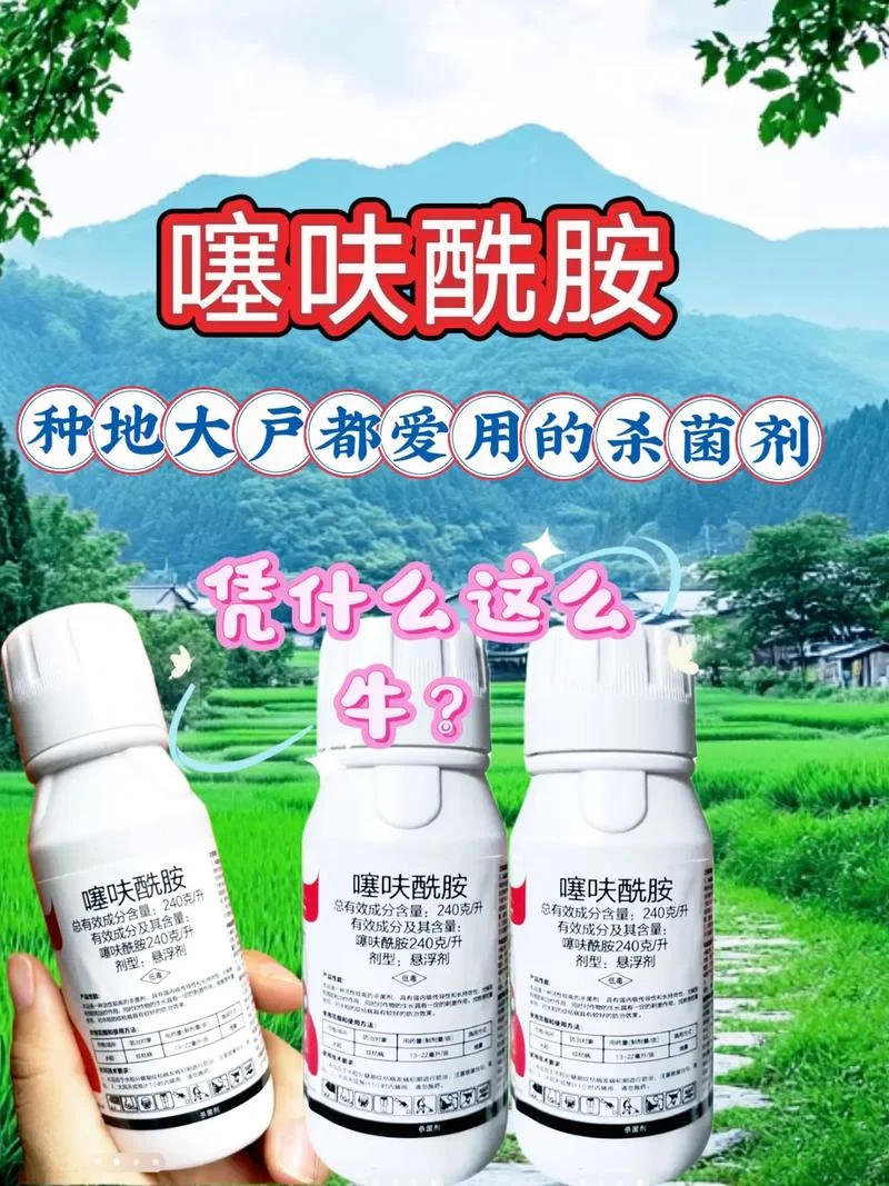 噻嘧啶又叫什么_1