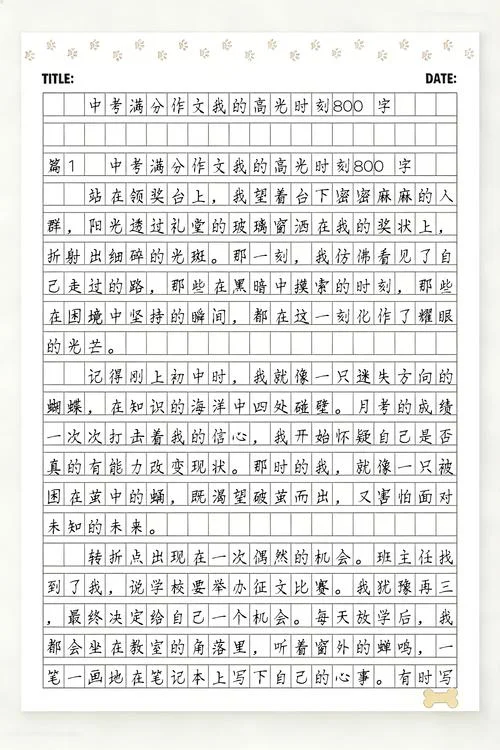 中考满分作文大全集_2