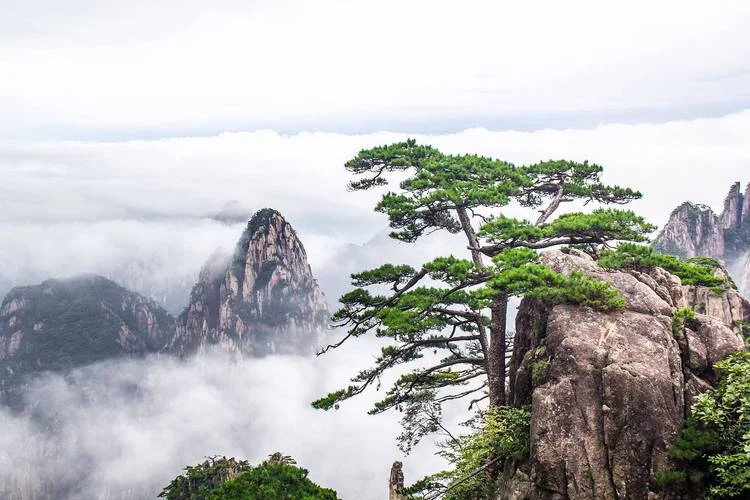黄山的景点有哪些地方_1