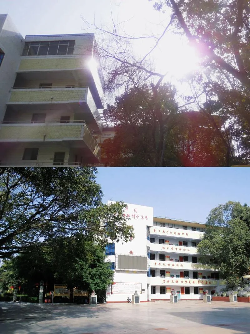 资中县球溪高级中学校长-资中县球溪中学校长