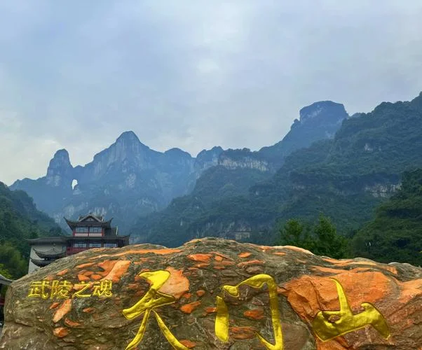去张家界旅游的感悟-张家界游记感悟