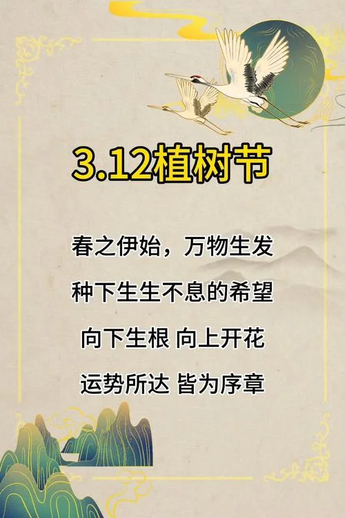 参与植树节植树活动感悟_2