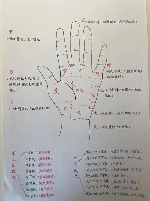 看手相能看出来肾虚吗-看手相可辨肾虚