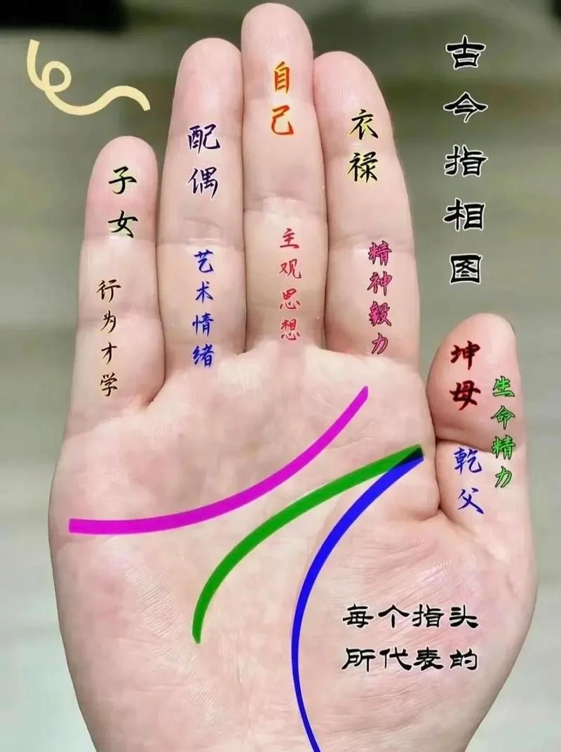 女人好命的手相图解_1