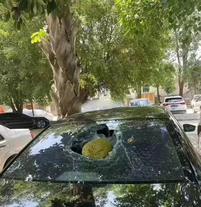 梦见车被砸坏了_2