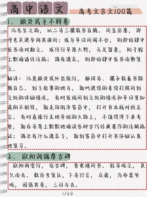翻译的过程学后感悟_1
