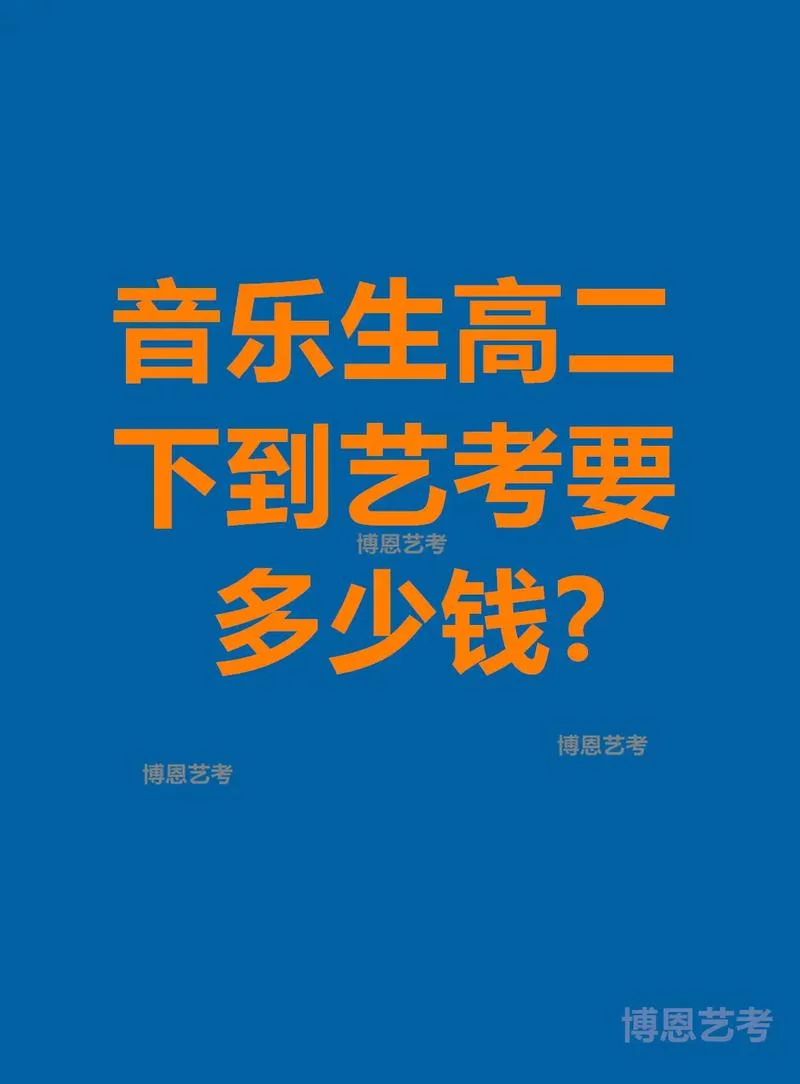 艺考音乐需要花多少钱_2