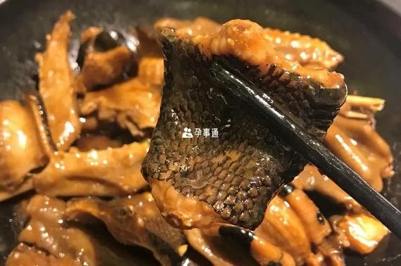 孕妇梦到吃蛇肉是什么意思_1