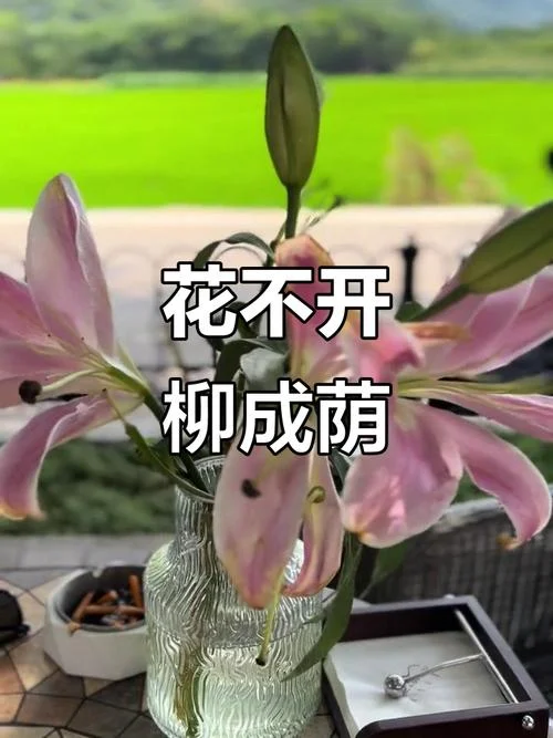 有心栽柳柳成荫下一句_2