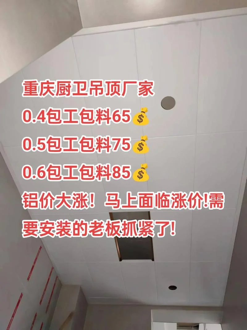 吊塑扣板多少钱一平方_1
