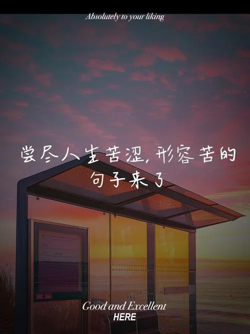 酸甜苦辣咸的人生感悟_2