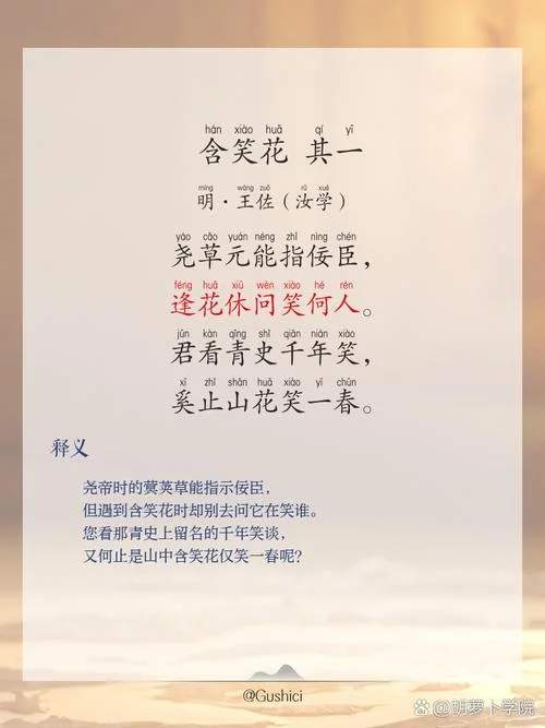 笑靥如花下一句什么_1