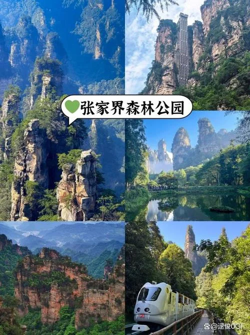 张家界多少钱旅游景点_2