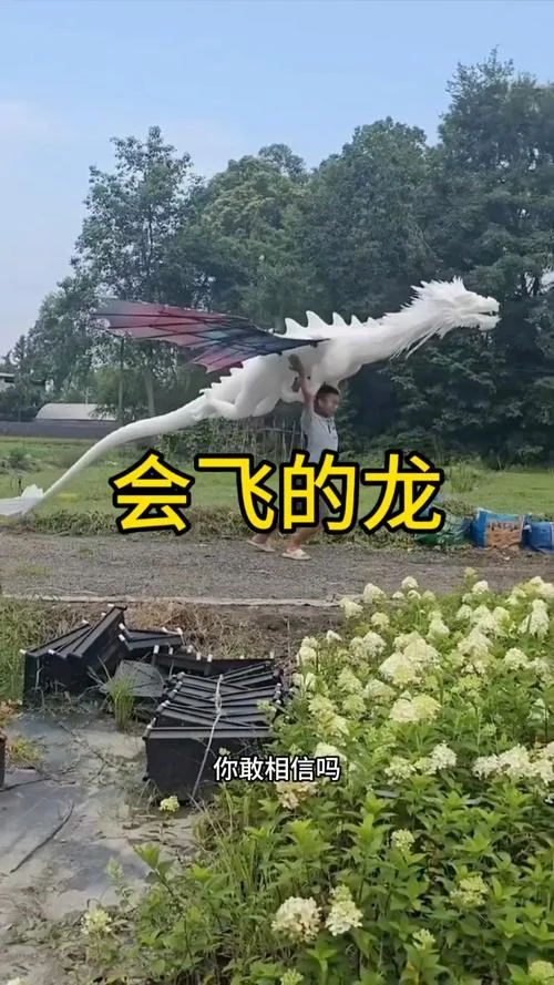 梦见龙在天上飞是什么预兆女人_2