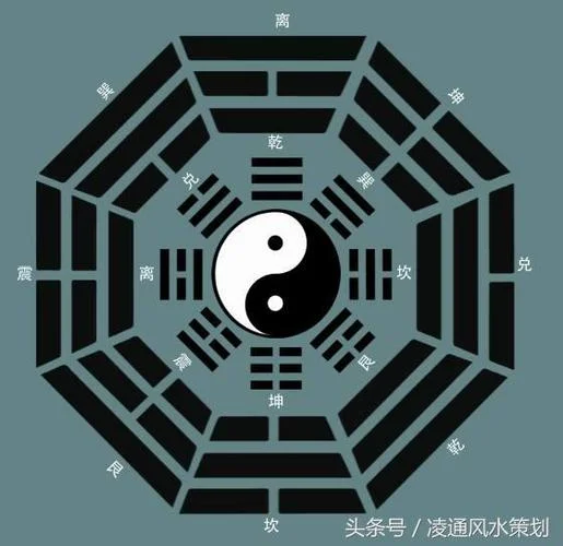 孤阴不长出自哪里_1