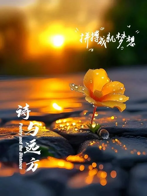 每日一言人生感悟_2
