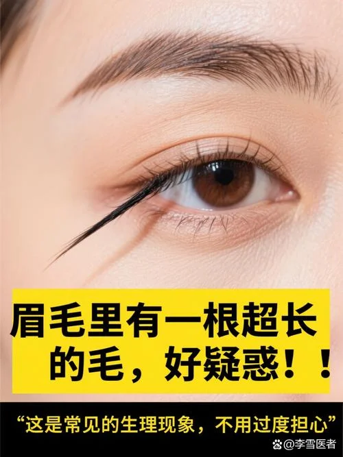 梦见眉毛变长-眉长之梦