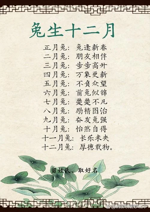 兔年出生于几月最好_1