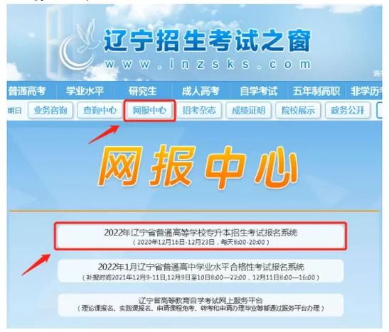 辽宁招生之窗成绩查询_2