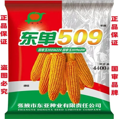 一亩地多少玉米种子_1
