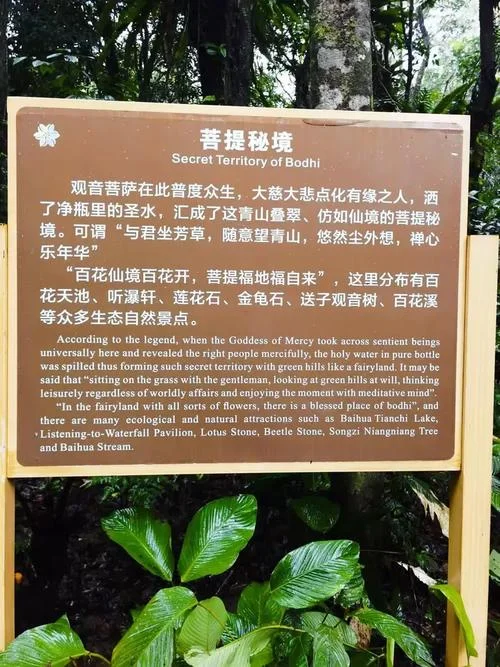 百花岭景区景点的介绍-百花岭景区简介