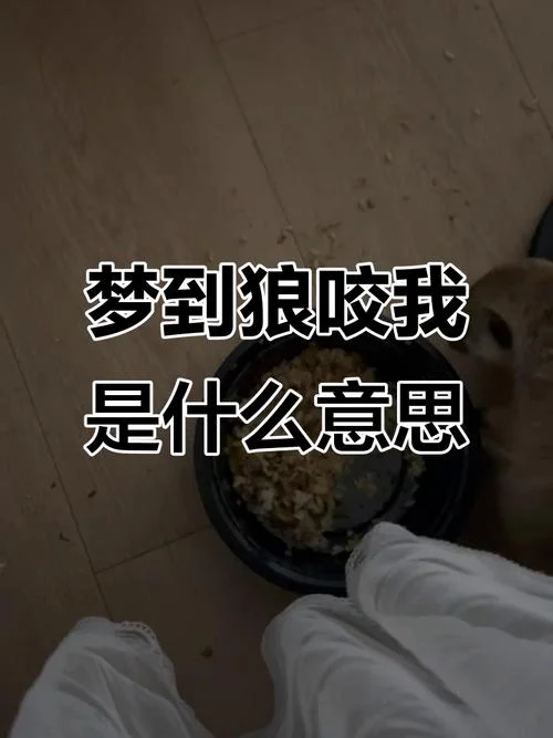 梦见打狼是什么意思-梦打狼寓意解析
