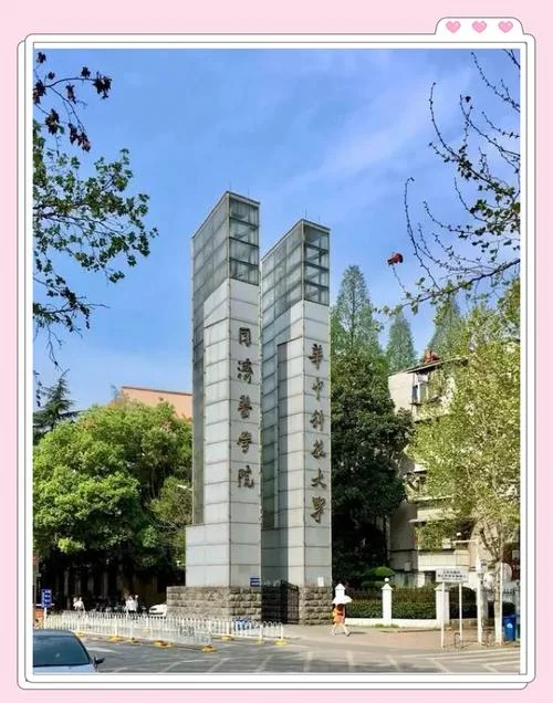 同济医学院考研-同济医考研