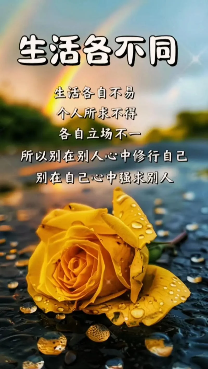 感悟图片带字唯美_2