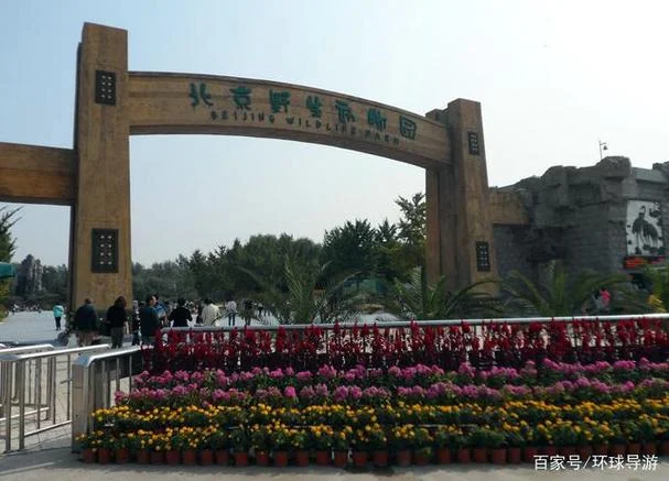 大兴区旅游景点有哪些-大兴区热门景点推荐