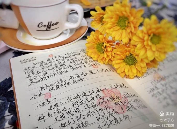 谁在银闪闪的地方等你 读后感_1