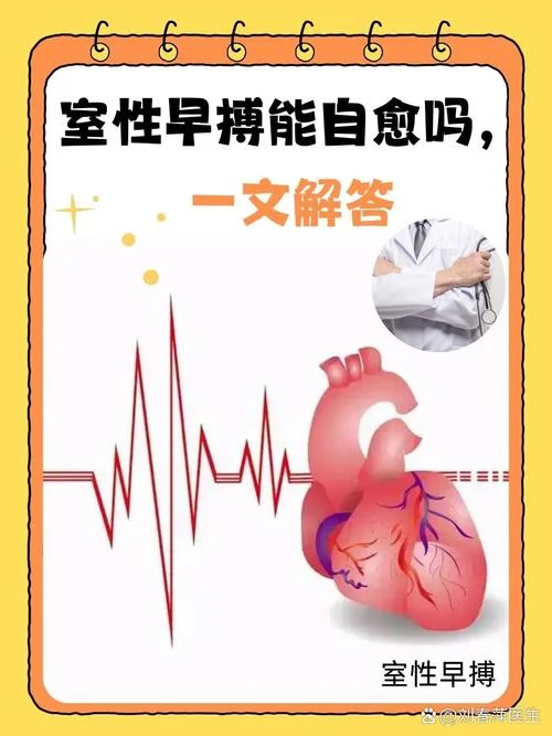 早搏在中医叫什么-早搏中医别称