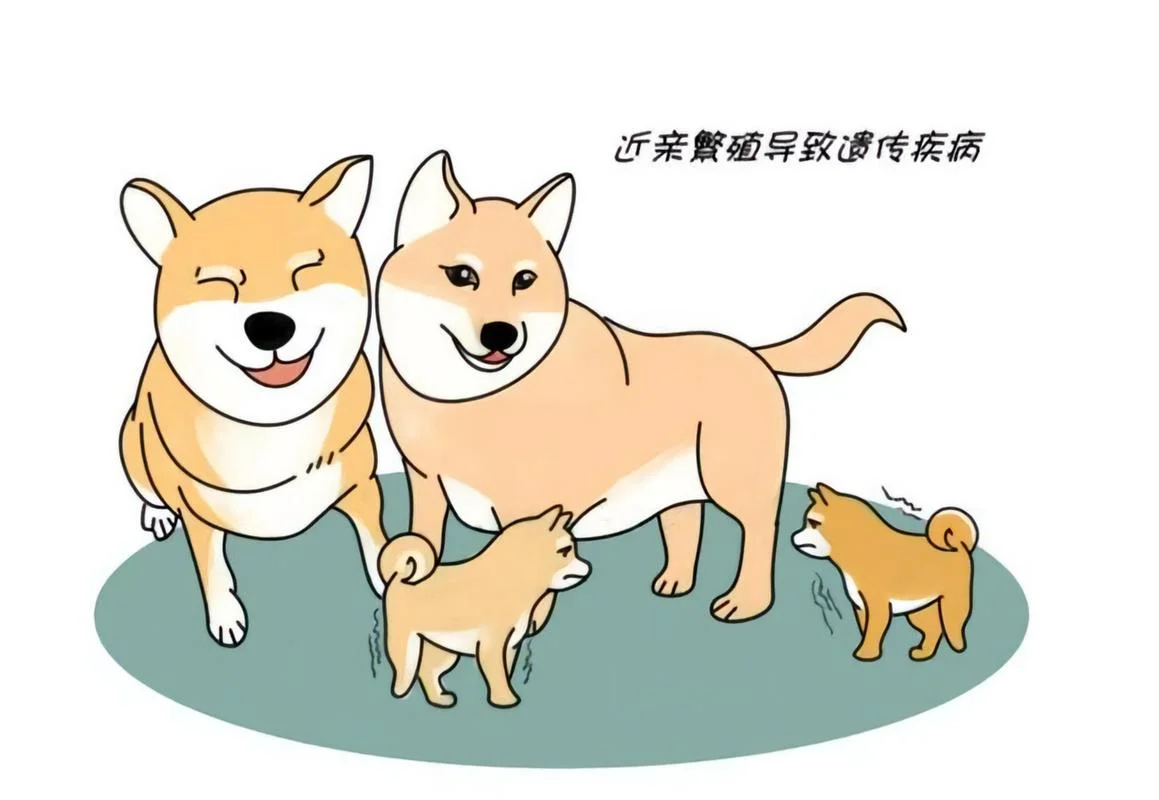 人类史上有回交吗_1