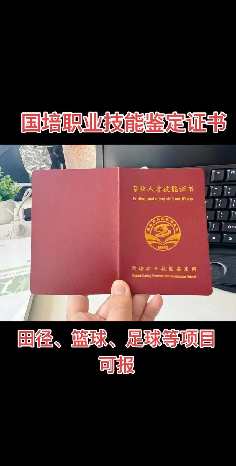 国家技能证书查询网站_2