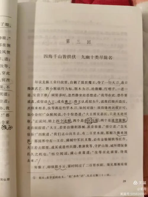 西游记第三回50字读后感悟_2