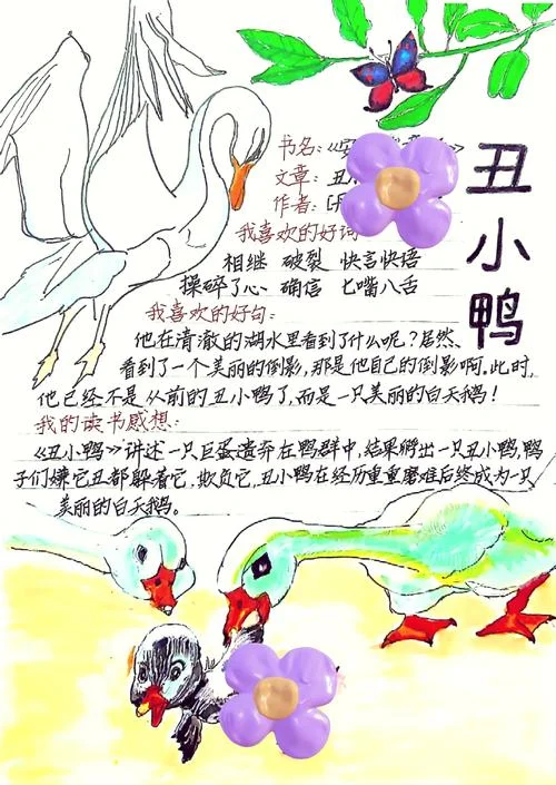 丑小鸭讲了什么道理_1