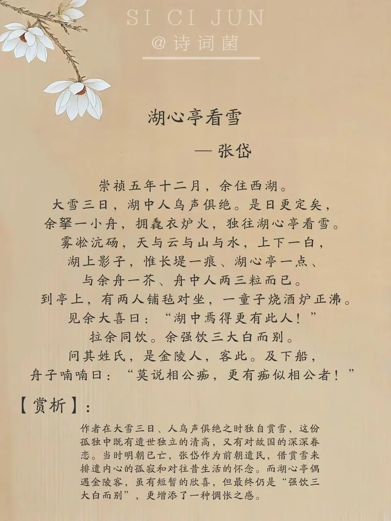 湖心亭看雪作者是谁_2