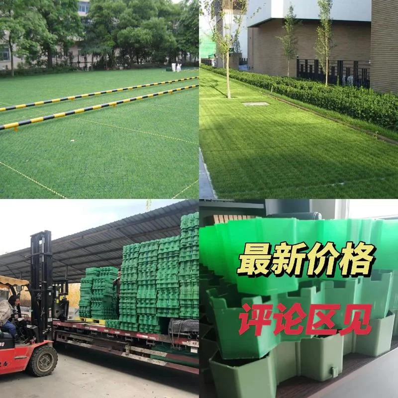 植草格价格一平方多少钱_2