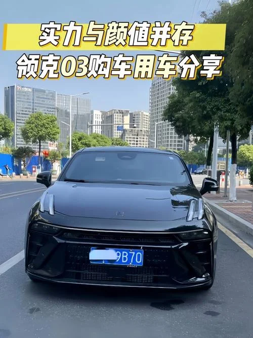 懂车帝车主认证领克_1