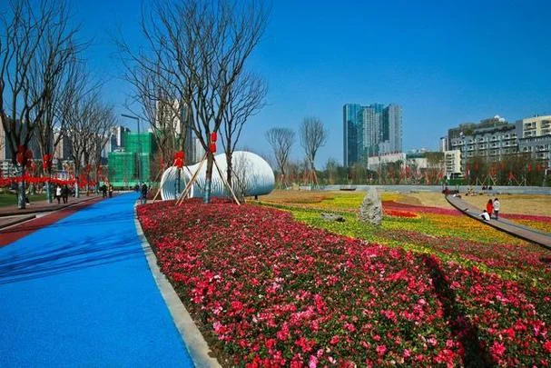 新金牛公园面积多少亩_2