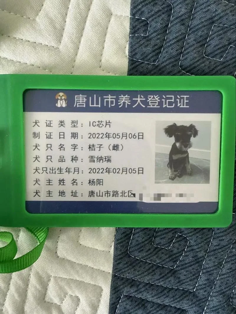 北京犬证如何查_1