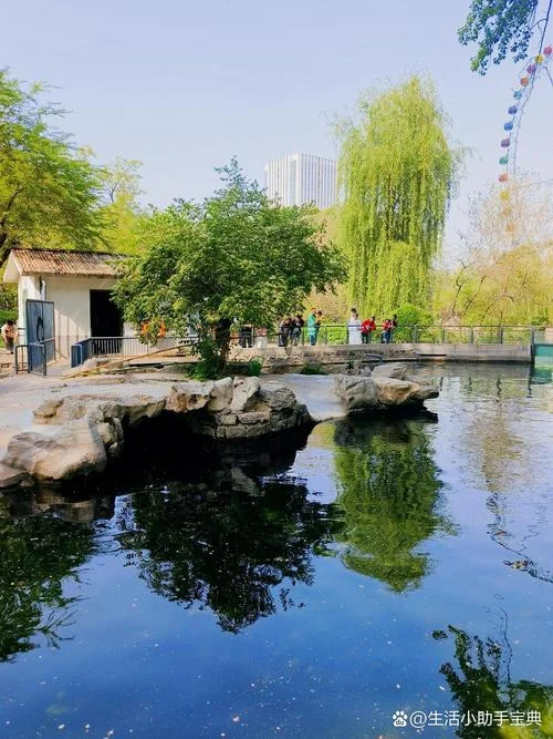 济南动物园附近景点_2