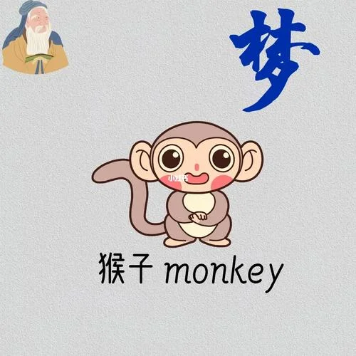 梦见好多猴_1
