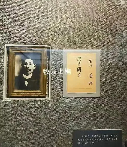 谨忆周树人军阅读感悟-周树人军读感悟