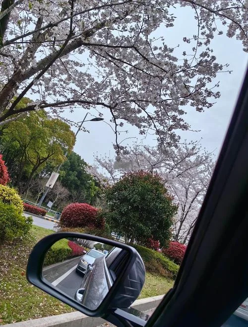 上海出发苏州1日游-上海苏州一日游